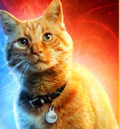 Once Upon a Multiverse